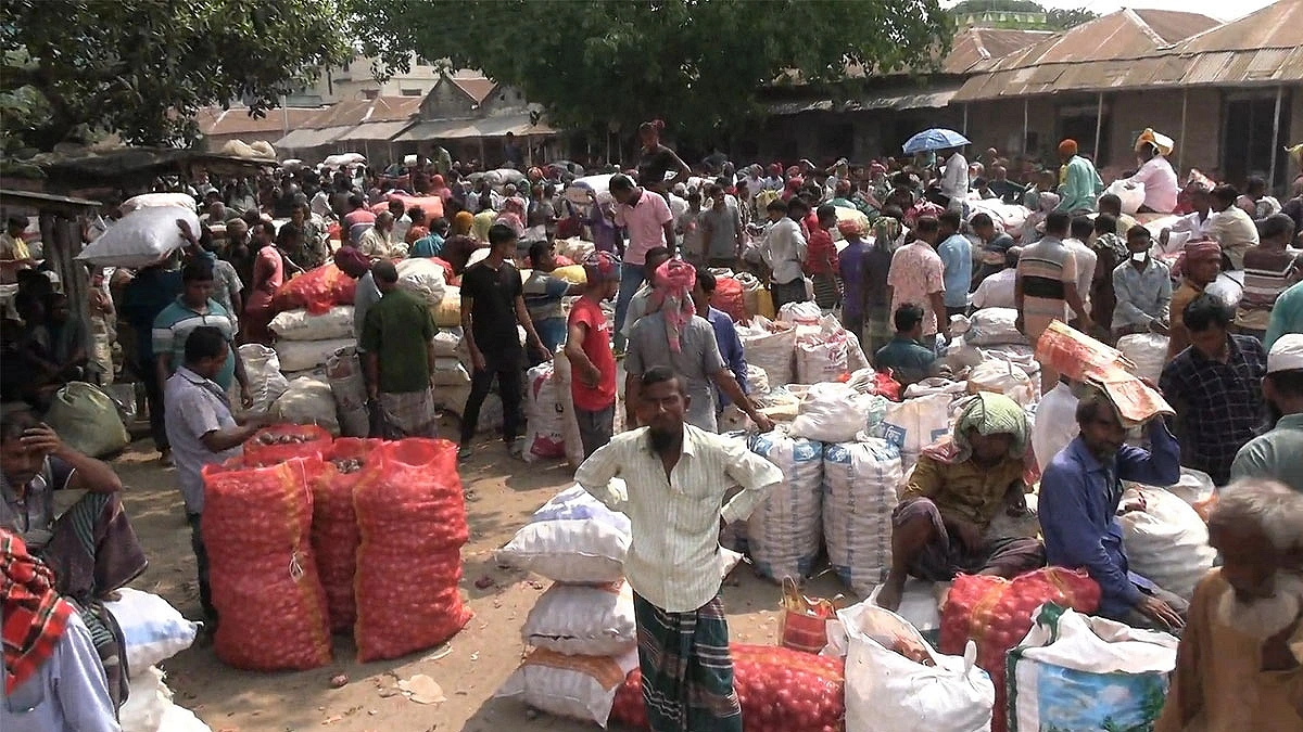Onion farmers struggle amid falling market prices. Photo: Agamir Somoy