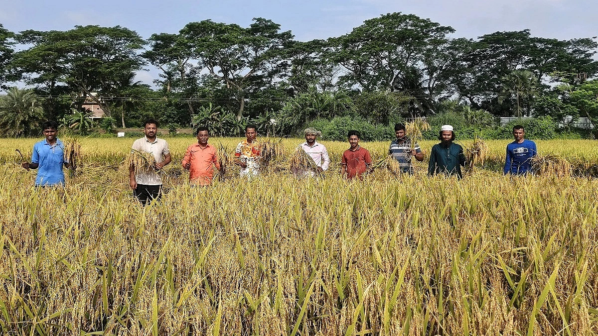 Chhatra Dal Steps In to Harvest Widow’s Paddy in Kotaliapara