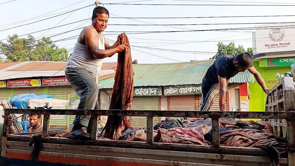 "In the skin trade, it feels like they'll even take the skin off my back"