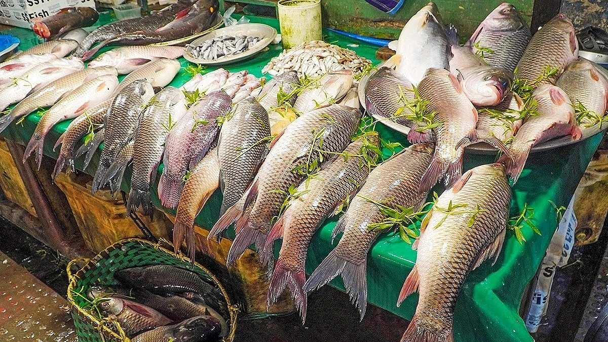 Tk 316 Crore Fish Imports Surge into Market