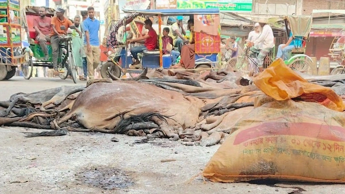 China Reliance Deepens Crisis in Bangladesh’s Leather Industry