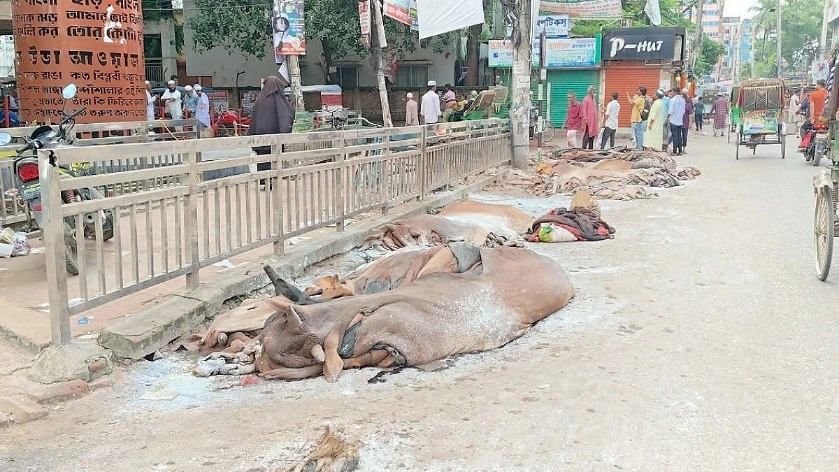 Hides Dumped on Roads as Brahmanbaria Market Collapses