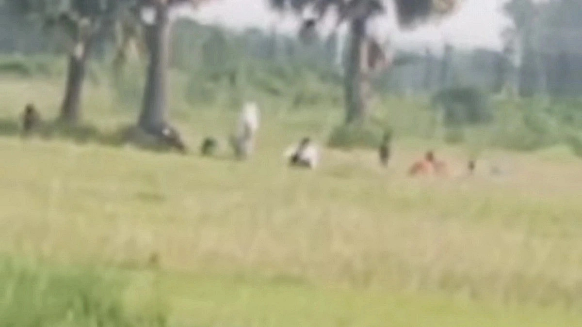 BGB thwart BSF attempt to push in 9 people through Naogaon border