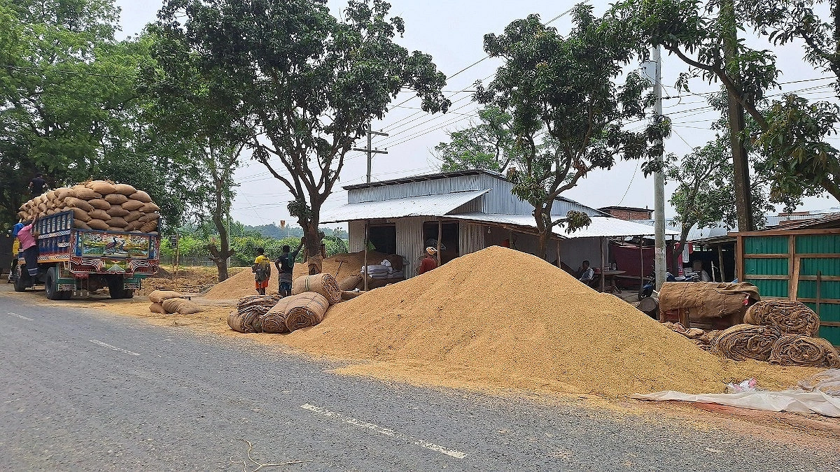 High Rice Prices Even in Peak Season, Ominous Signs in Market