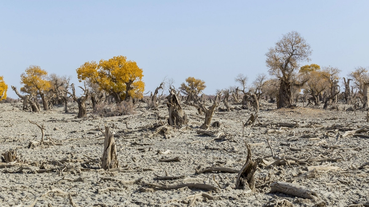 El Niño confirmed, set to fuel more extreme weather, says WMO