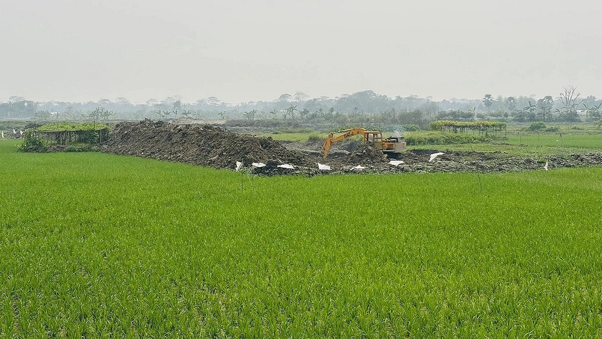 Illegal Pond Digging Devastates Farmland in Shariatpur
