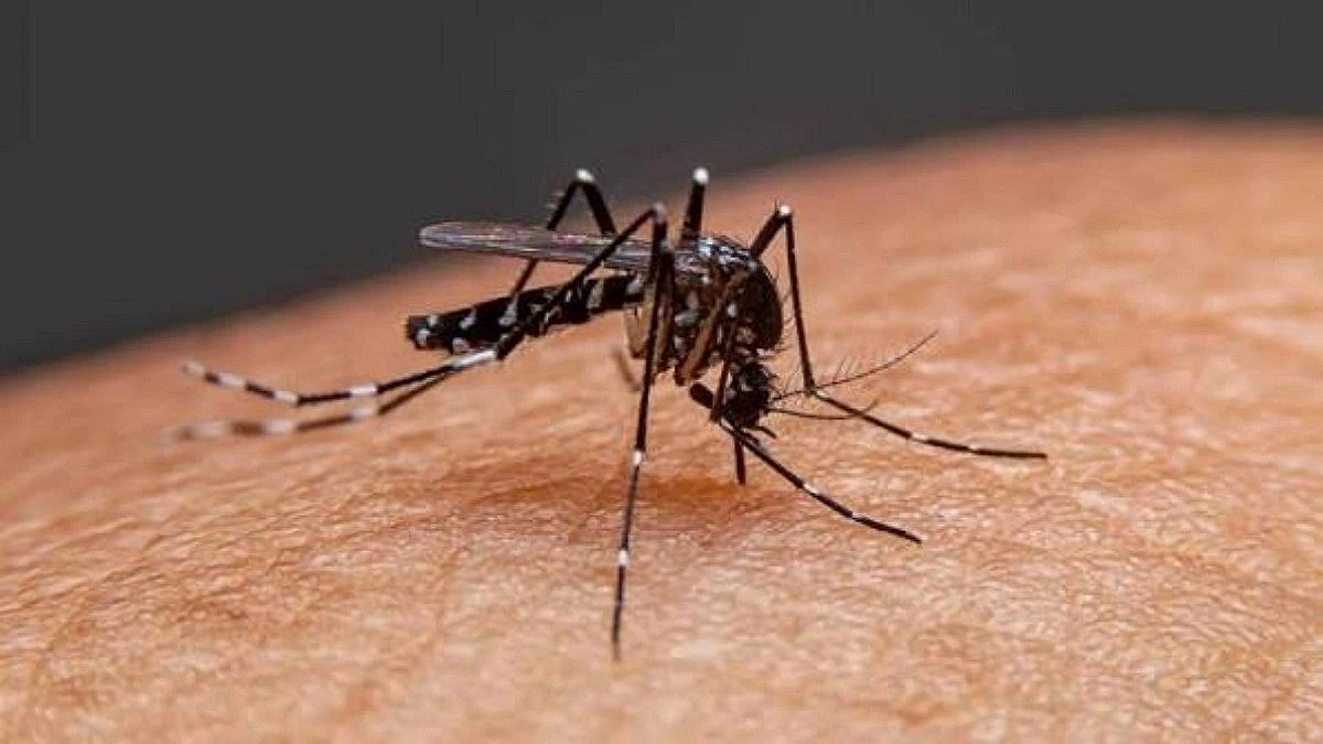 One More Dies of Dengue, 198 Hospitalized