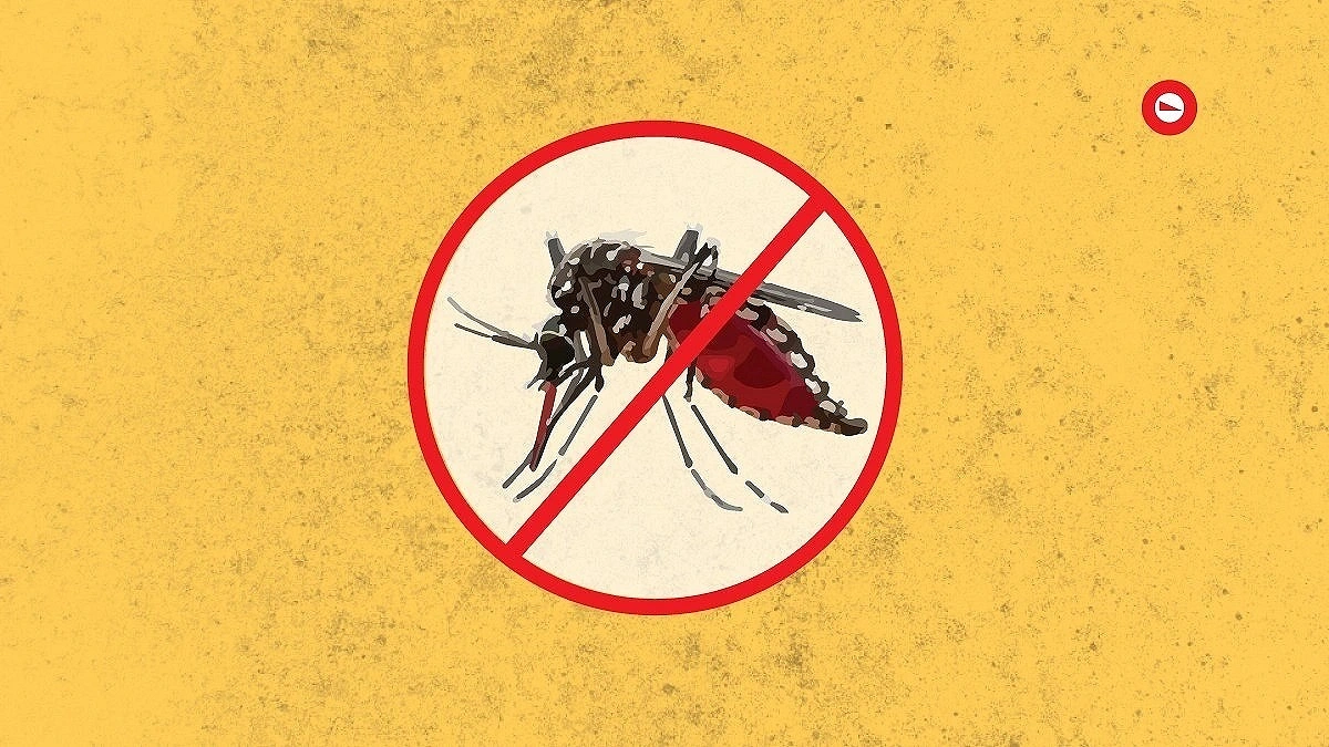 Five Die of Dengue in 24 Hours
