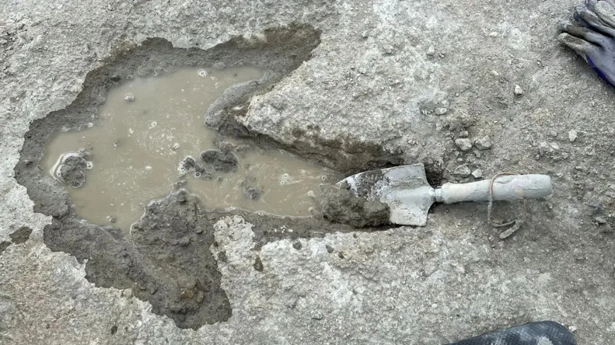 World’s Longest Dinosaur Trackways Found in Oxfordshire