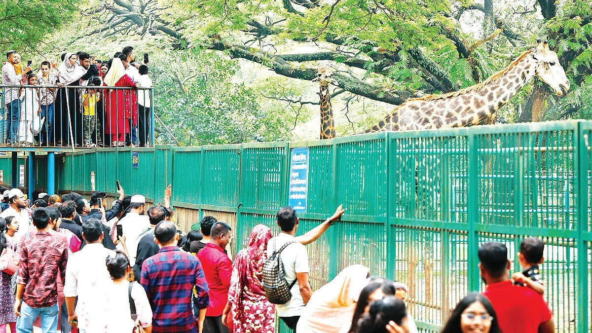 Eid brings crowds to entertainment centers