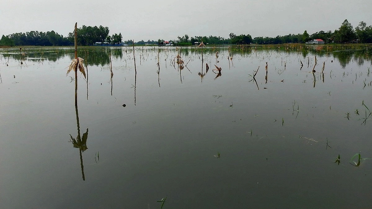 Teesta Above Danger Level, Flood Fears Grow