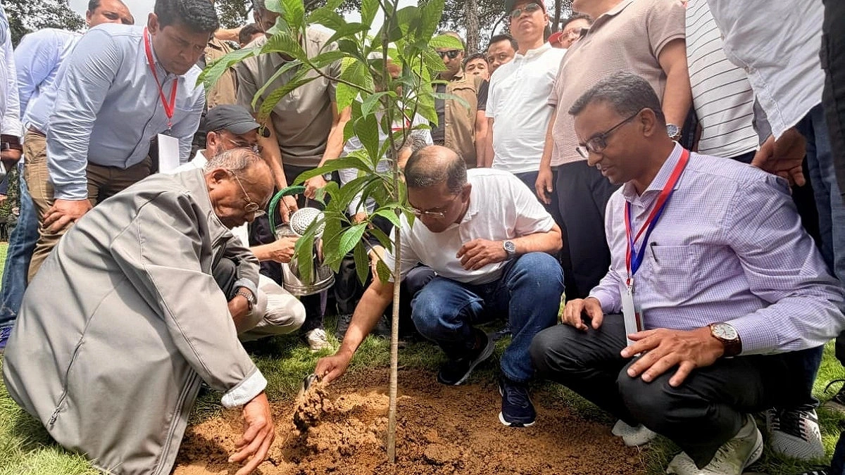 Prime Minister launches 25 crore tree plantation programme