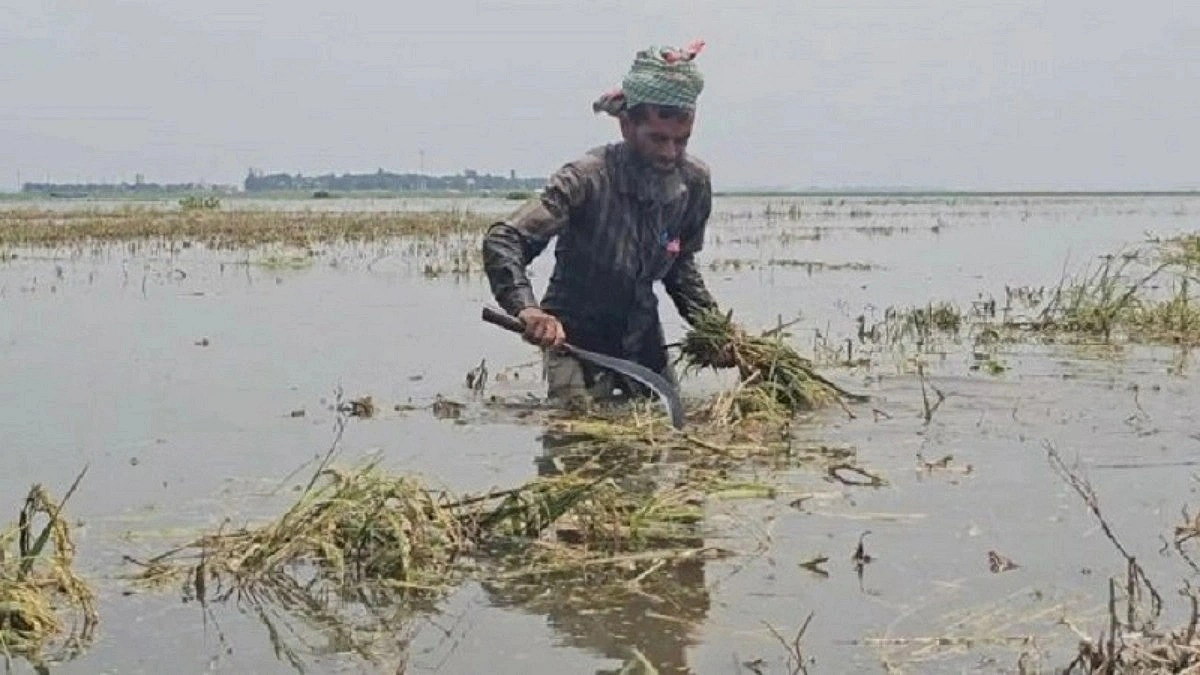 Irregularities Alleged in Purbadhala Farm Incentive List