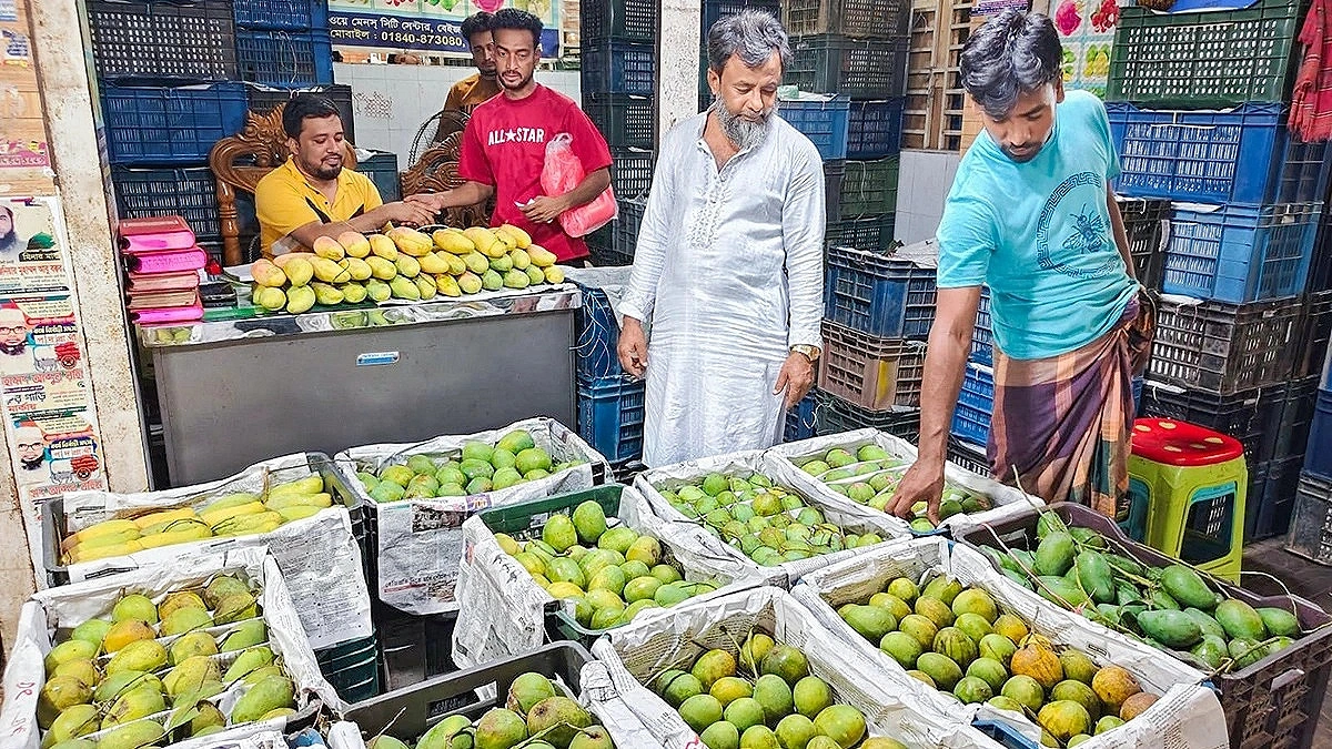 The Sweetest Season: Abundant Supplies Drive Chattogram Mango Prices Down