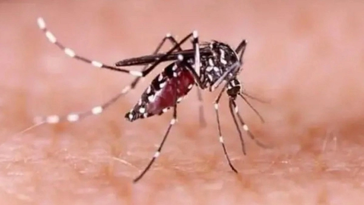 Two More Die From Dengue, 157 Hospitalized