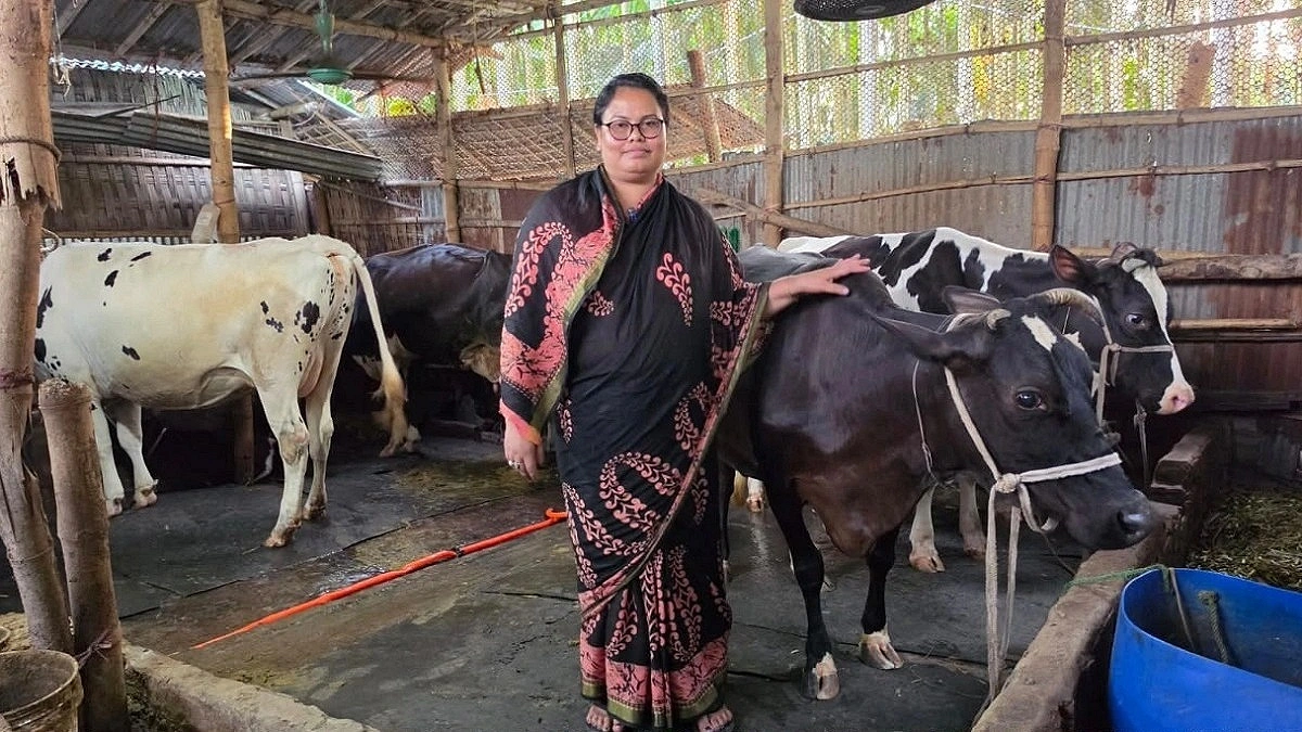 Anjana Turns Tk 5,000 Into Thriving Dairy Business