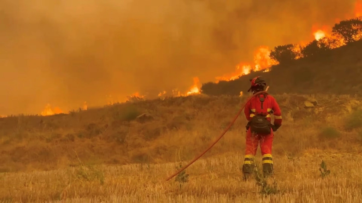 Rescued donkeys help Spain fight deadly wildfires