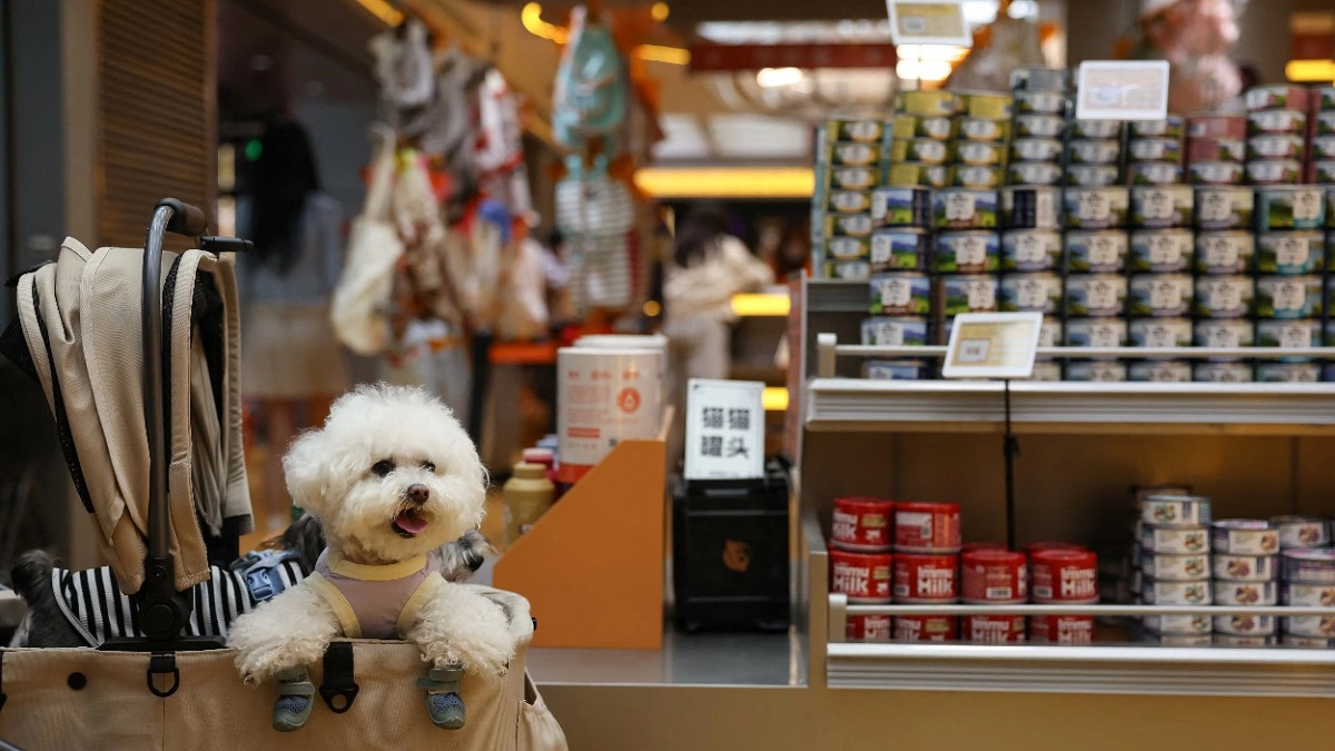 Fur Babies Replace Infants as Japan’s Pet Industry Booms