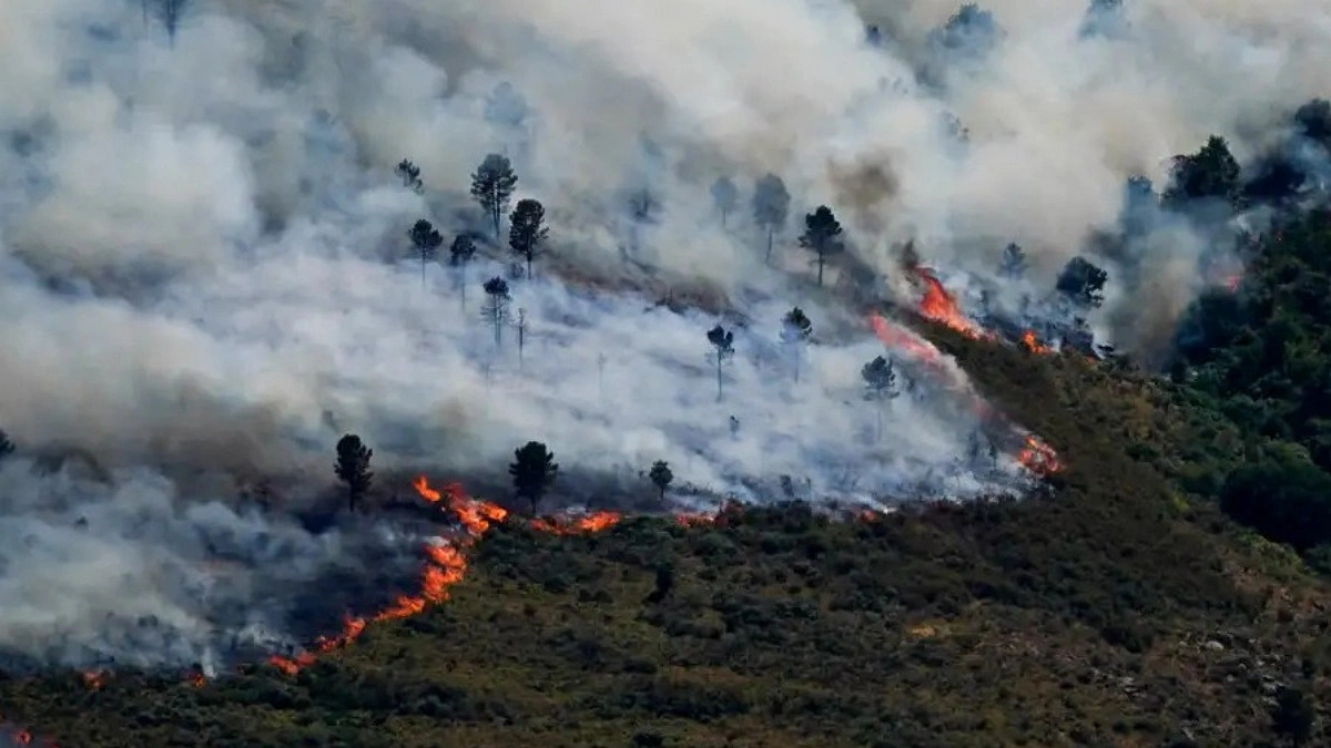 EU rallies to France’s aid as blaze menaces bordeaux, coastal holiday havens