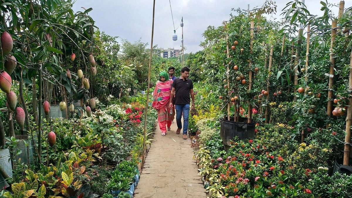 Curiosity in foreign trees, but buyers pick native fruit saplings