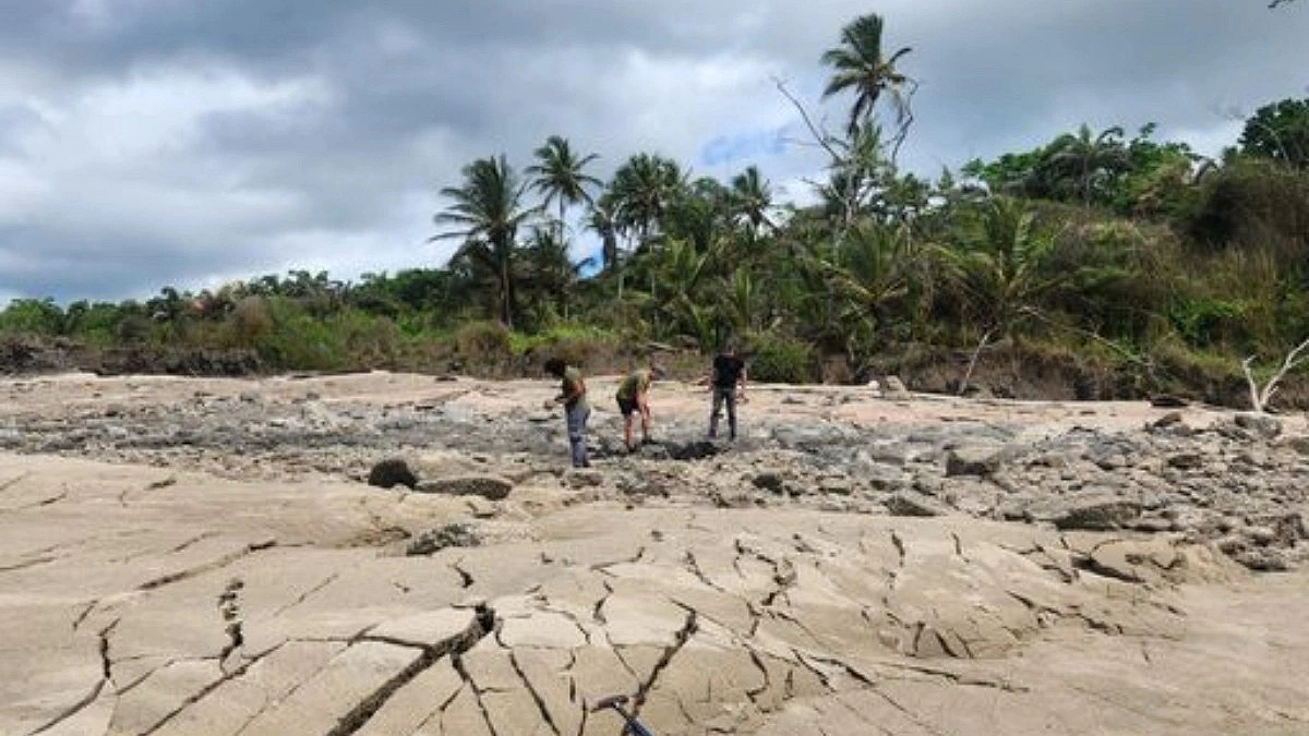 Trinidad Coast Lifted 20 Feet by Venezuela Earthquakes