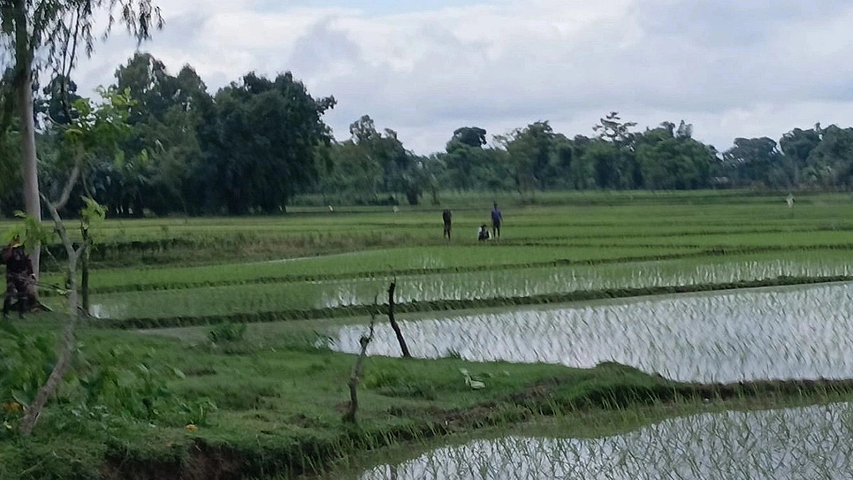 BSF retreats after BGB blocks attempt to install pillars at Patgram border