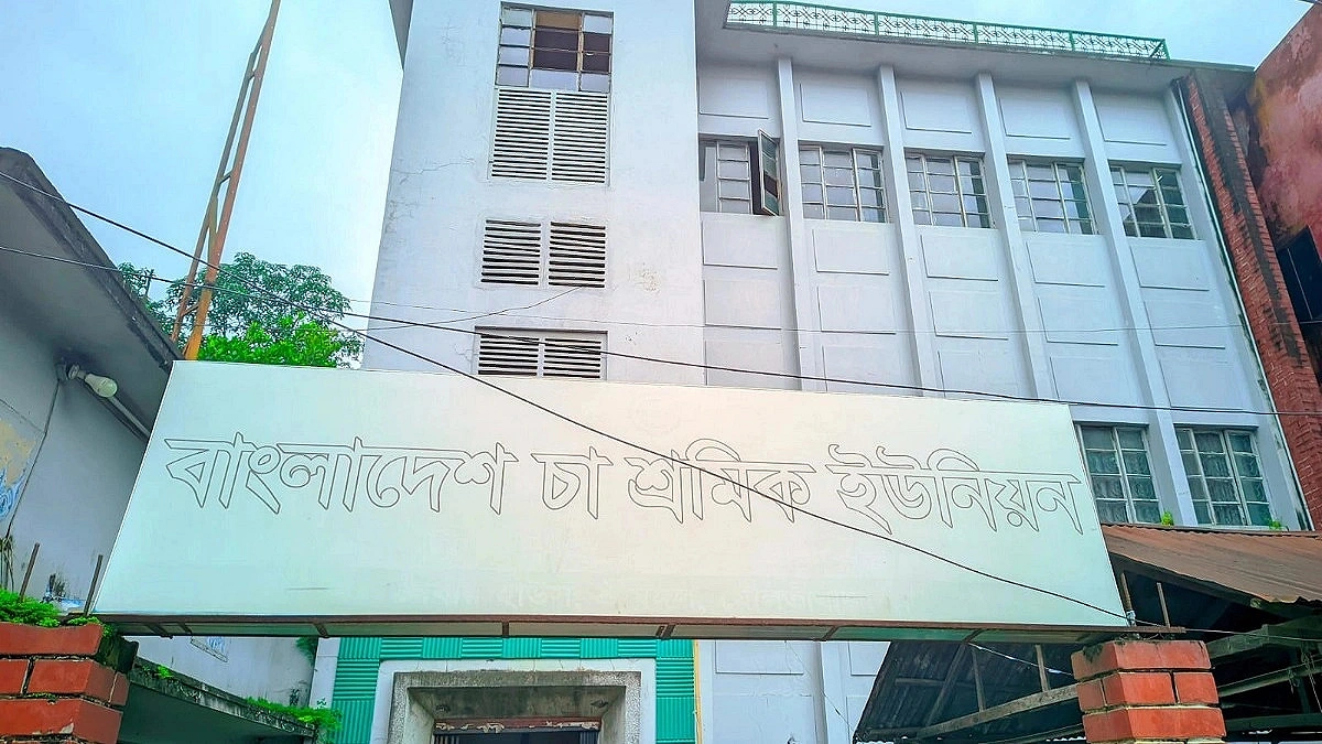 Eight years without elections, tea workers' union faces crisis