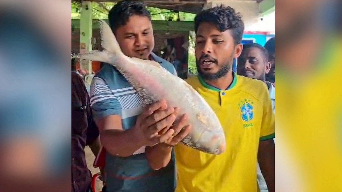A Single Hilsa Fish Sold for 7,000 Taka