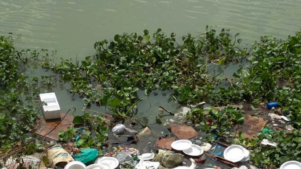 Court orders investigation into factory waste pollution in Chattogram