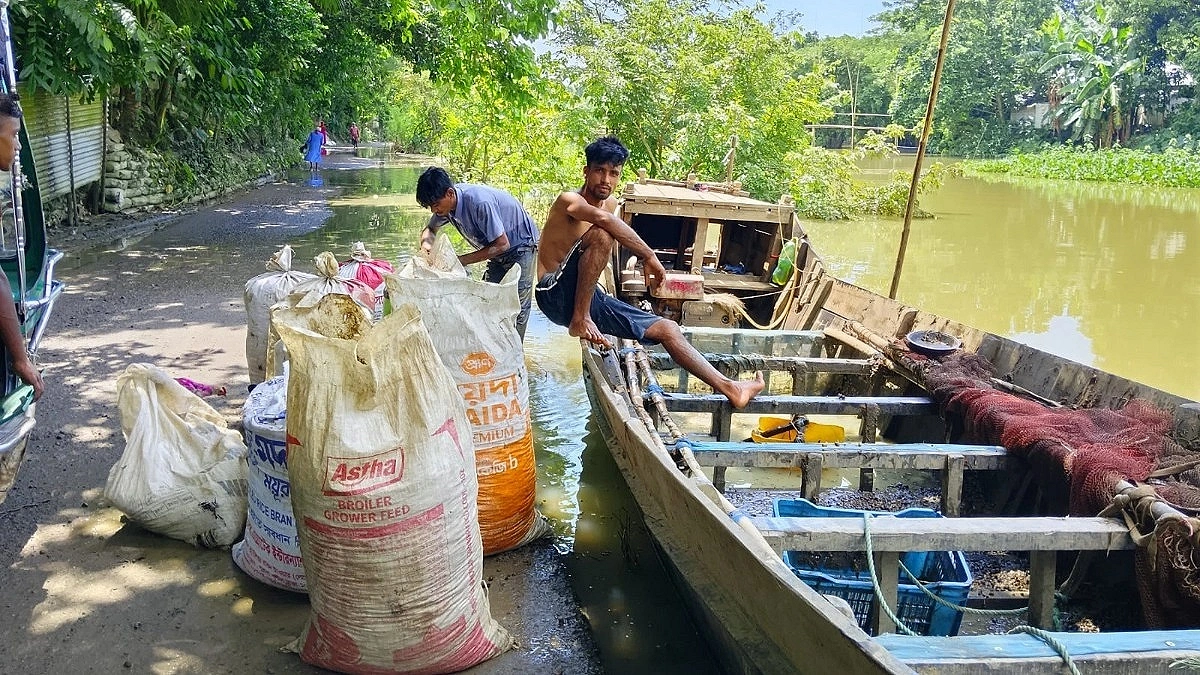 Snail harvesting threatens biodiversity in Netrokona haor